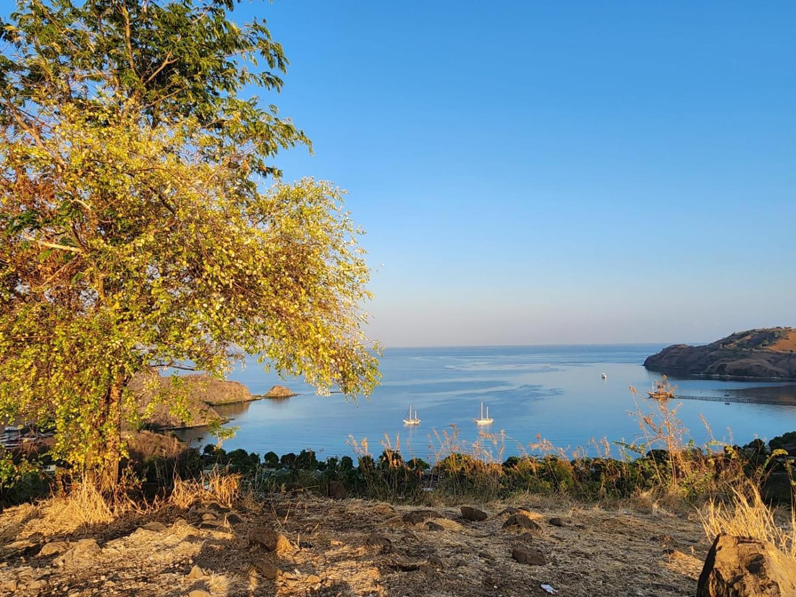 Sylvia Hotel & Resort Komodo Labuan Bajo Luaran gambar