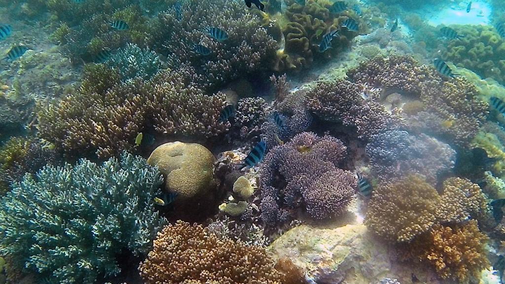 Sylvia Hotel & Resort Komodo Labuan Bajo Luaran gambar